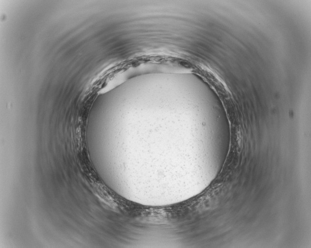 X0000087690968200705251704