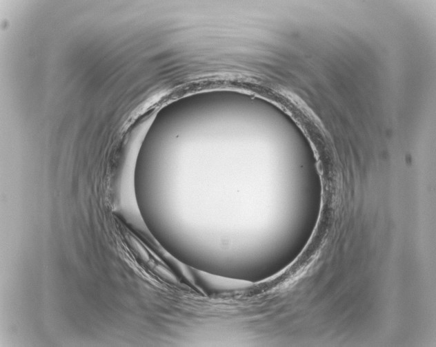 X0000087690969200705251704