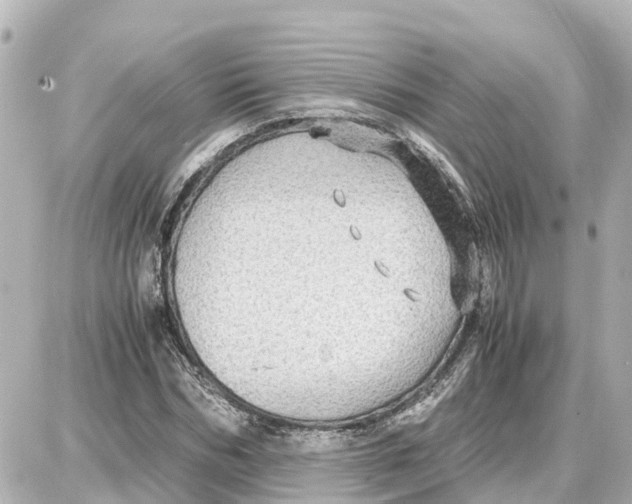 X0000087690970200705251704