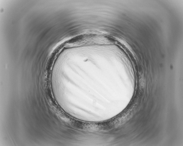 X0000087690971200705251704