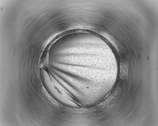 X0000087690972200705251704