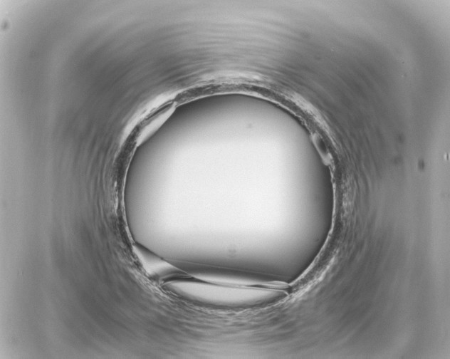 X0000087690973200705251704