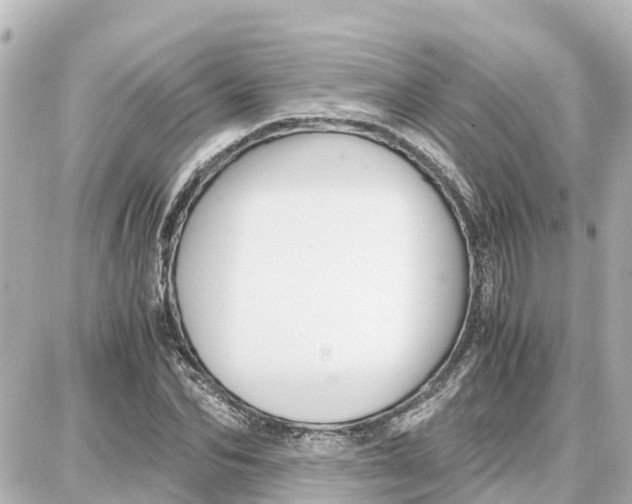 X0000087690974200705251704