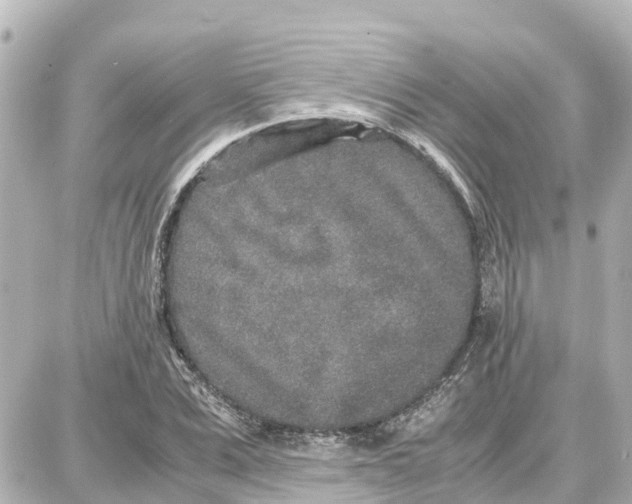 X0000087690975200705251704