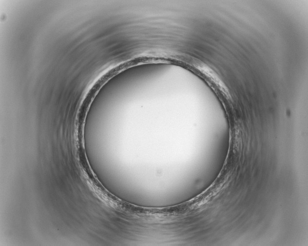 X0000087690976200705251704