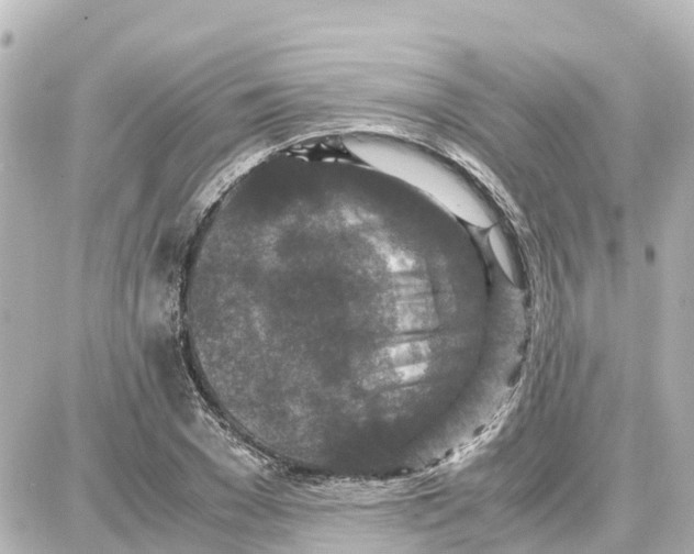 X0000087690977200705251704