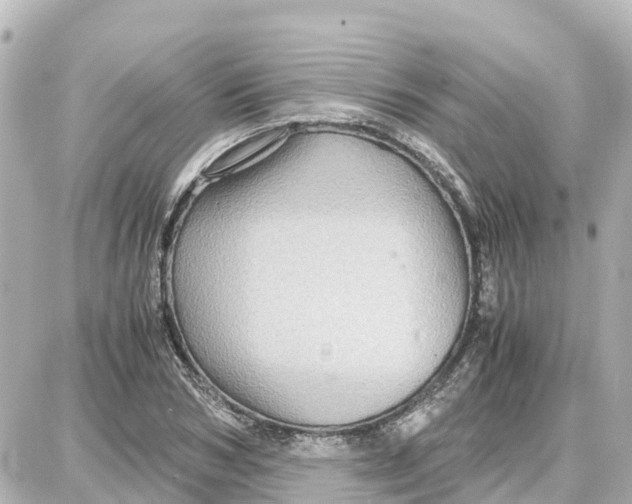 X0000087690978200705251704