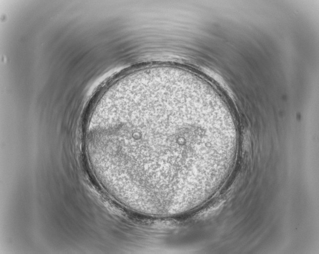 X0000087690979200705251704