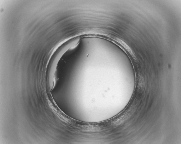 X0000087690980200705251704