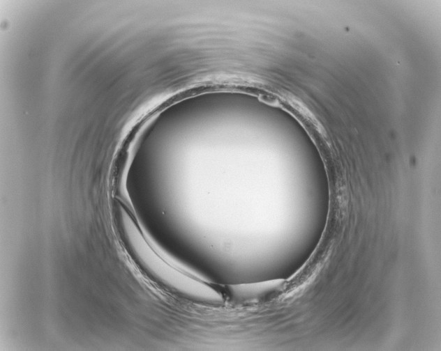 X0000087690981200705251704