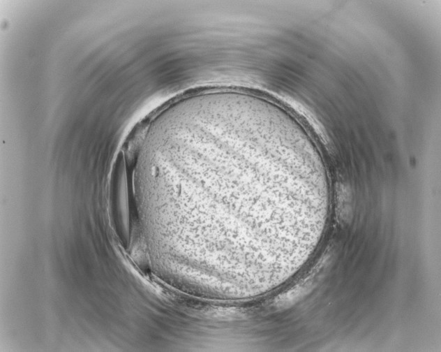 X0000087690982200705251704