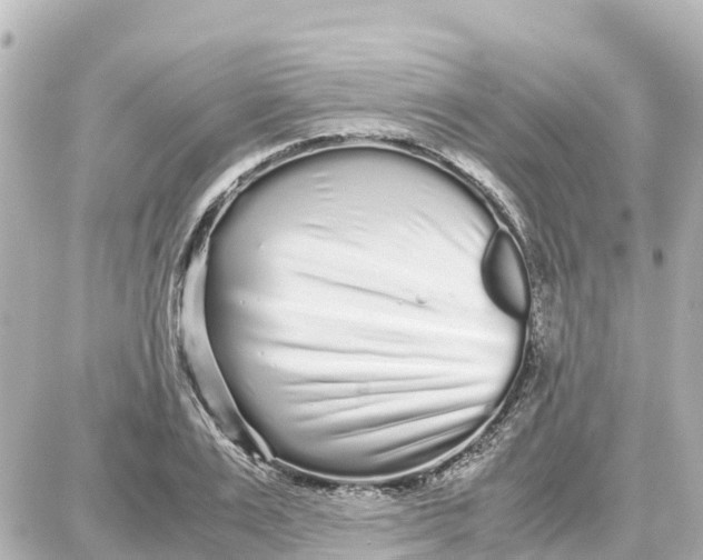 X0000087690983200705251704