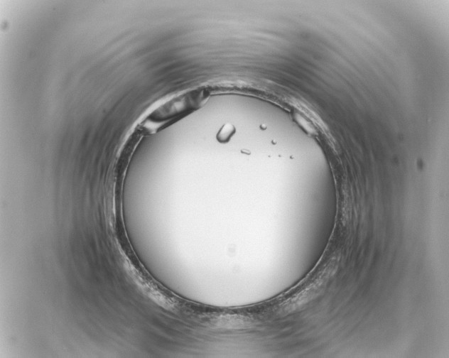 X0000087690984200705251704