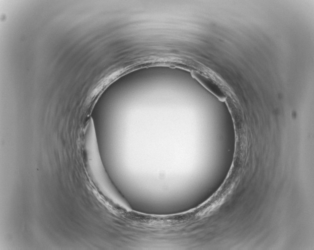 X0000087690985200705251704