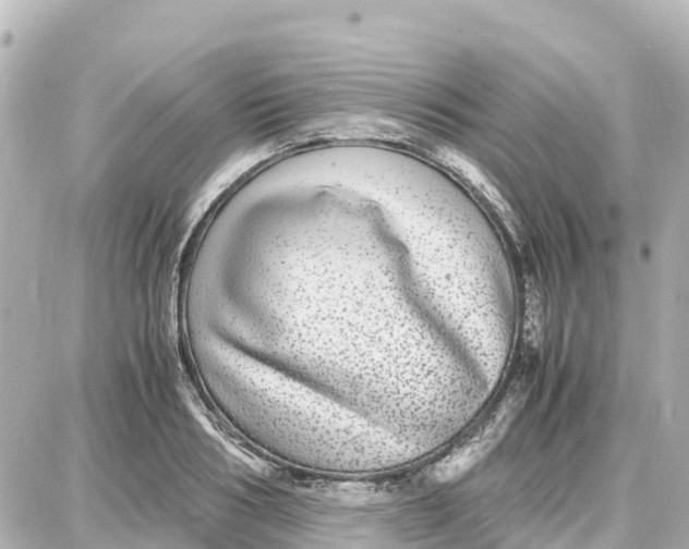 X0000087690986200705251704