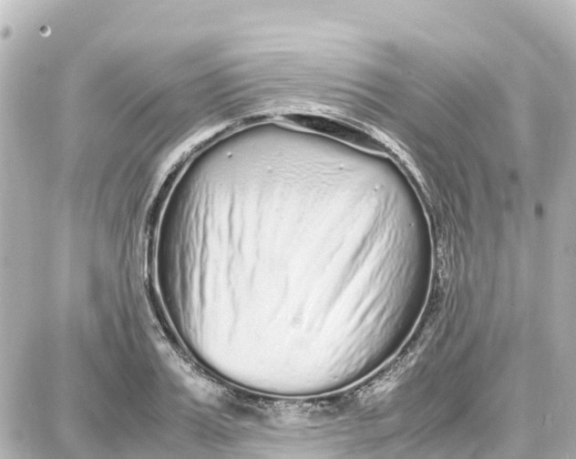 X0000087690987200705251704