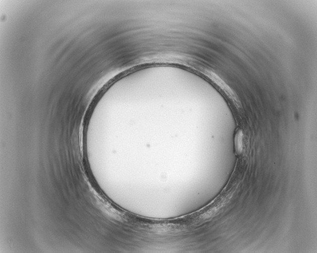 X0000087690988200705251704