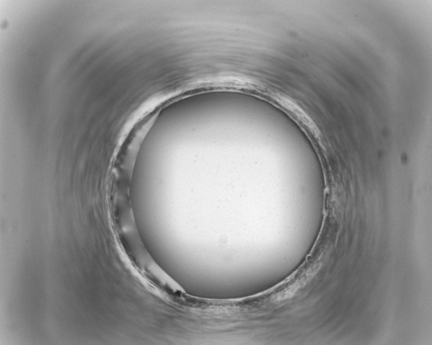 X0000087690989200705251704