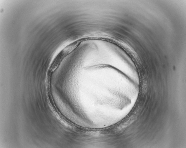 X0000087690990200705251704