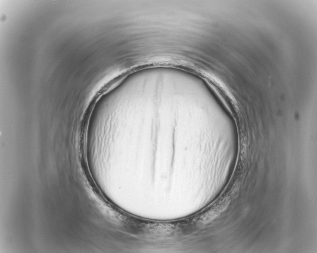 X0000087690991200705251704