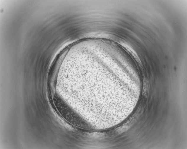 X0000087690992200705251704