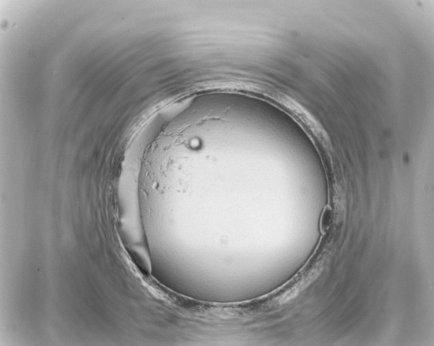 X0000087690993200705251704