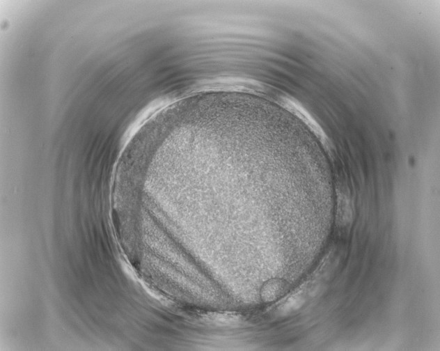 X0000087690994200705251704