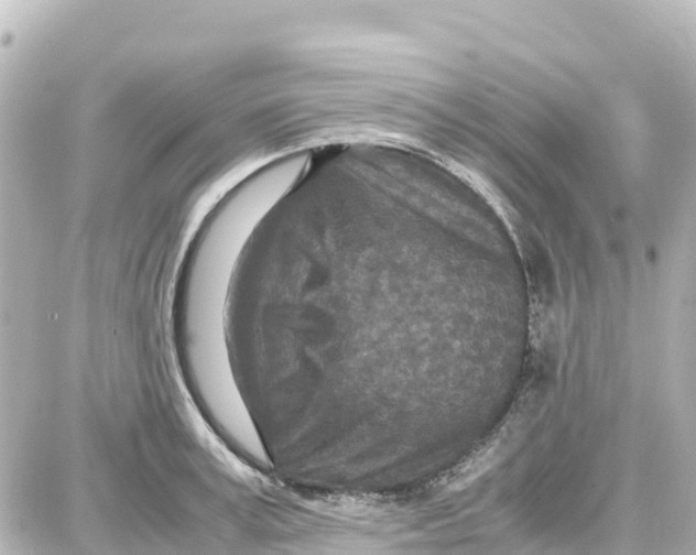 X0000087690995200705251704