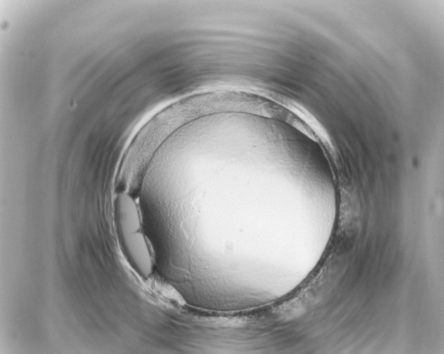 X0000087690996200705251704