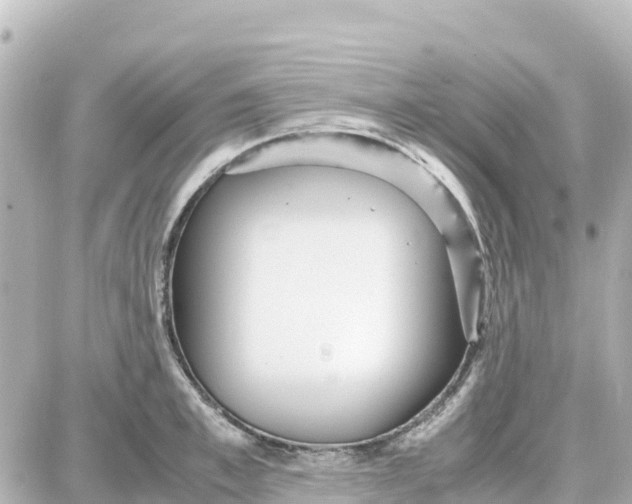 X0000087690997200705251704