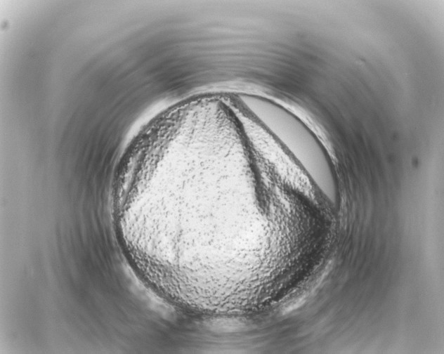 X0000087690998200705251704