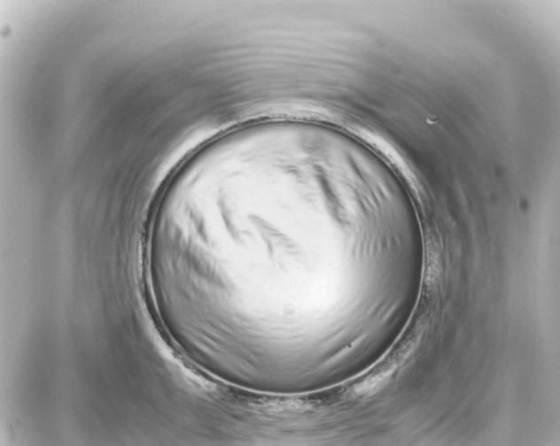 X0000087690999200705251704