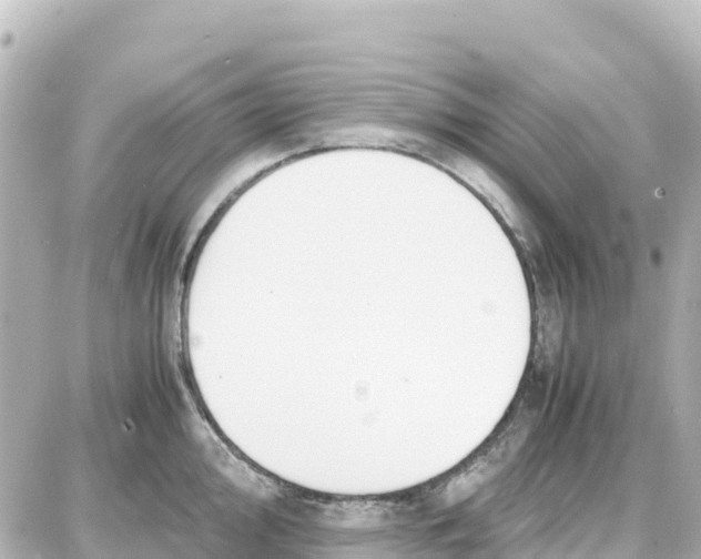 X0000087691000200705251704