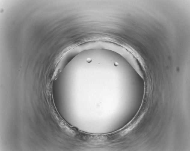 X0000087691001200705251704