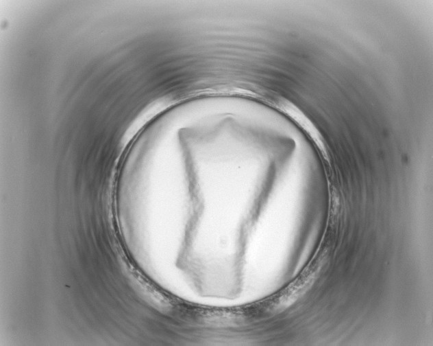 X0000087691002200705251704