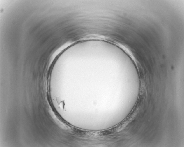 X0000087691003200705251704