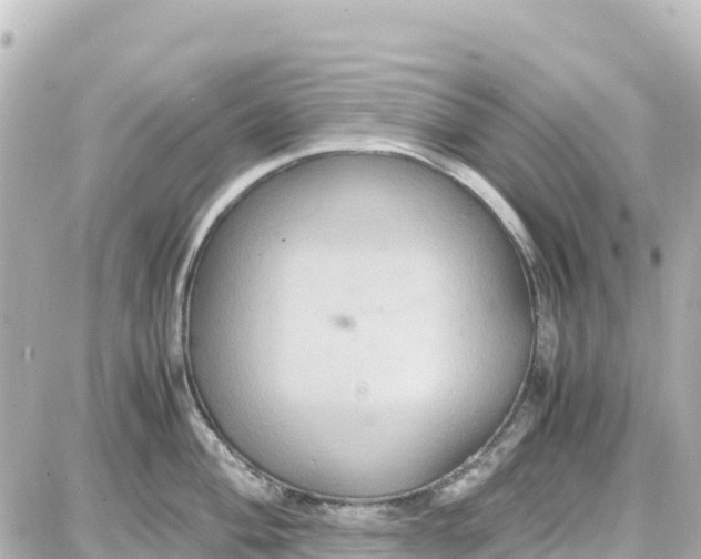 X0000087691004200705251704