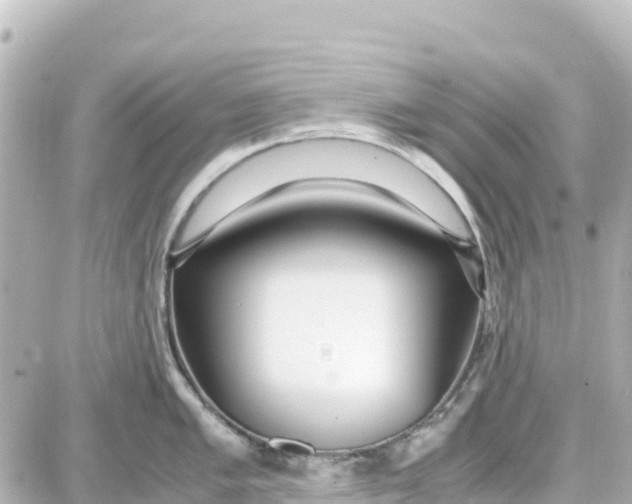 X0000087691005200705251704