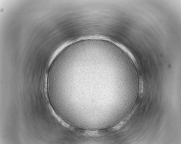 X0000087691006200705251704