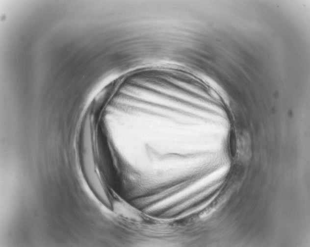 X0000087691007200705251704