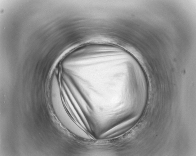 X0000087691008200705251704