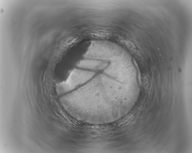 X0000087691009200705251703