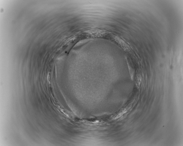 X0000087691010200705251703