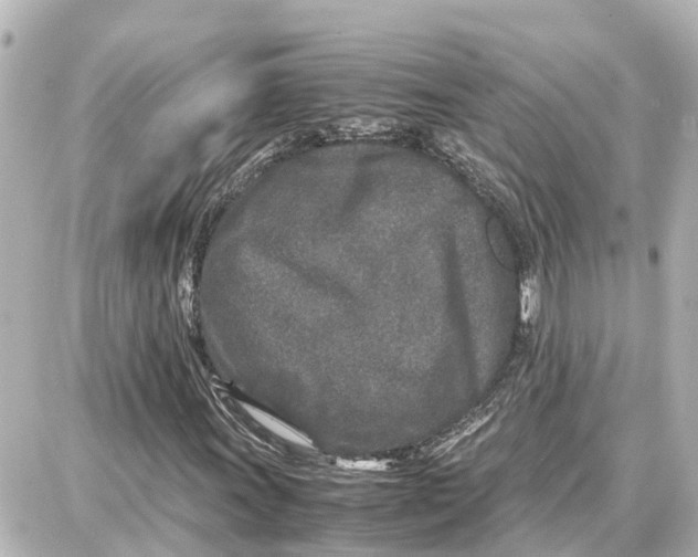 X0000087691011200705251703