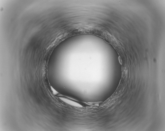 X0000087691012200705251703