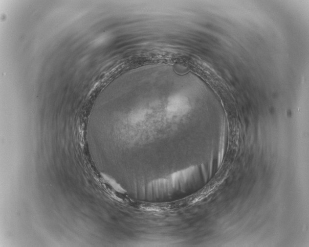 X0000087691013200705251703