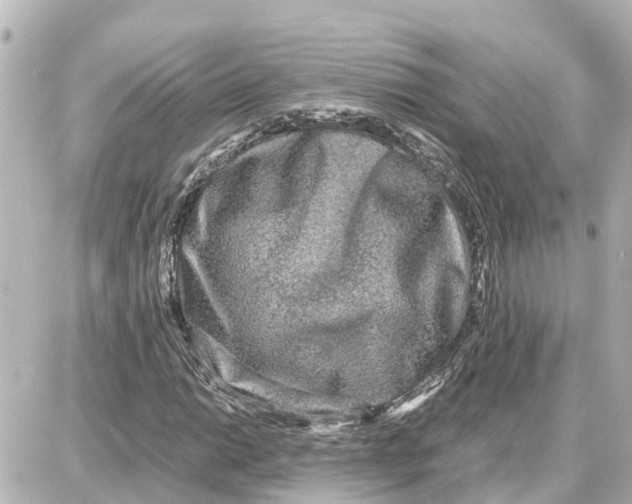 X0000087691014200705251703