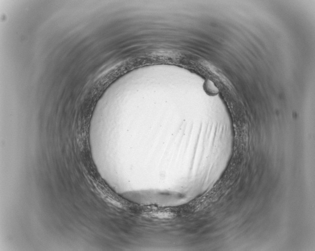 X0000087691015200705251703