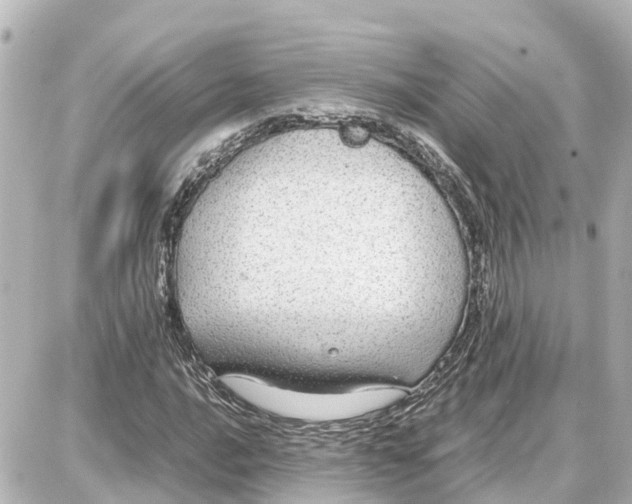 X0000087691016200705251703