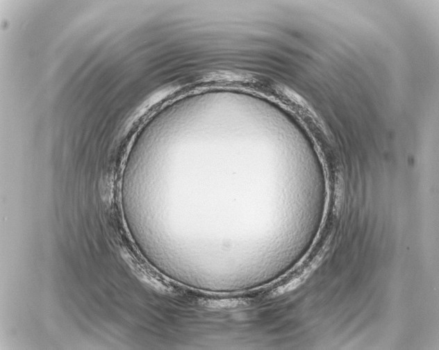 X0000087691017200705251703